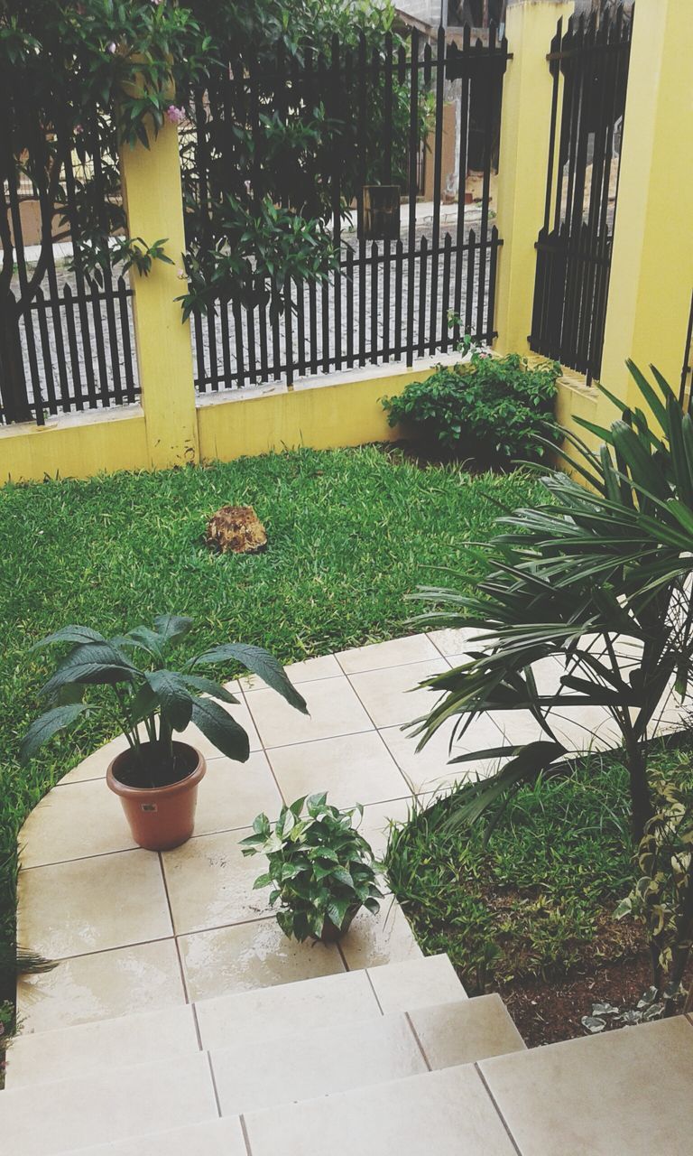 plant, potted plant, growth, green color, built structure, architecture, front or back yard, leaf, chair, building exterior, sunlight, flower pot, shadow, nature, day, no people, outdoors, fence, tree, protection