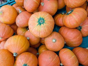 Full frame shot of pumpkins in market