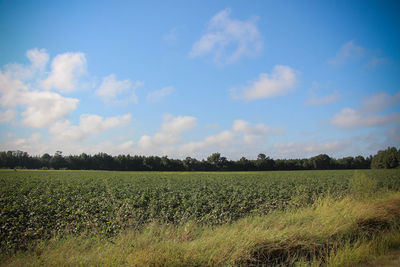 Scenic view of field against cloudy sky