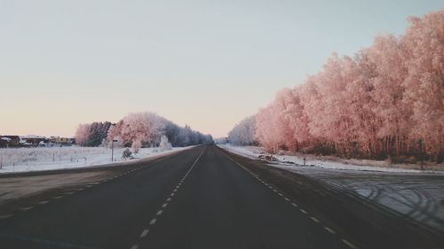 Road amidst trees against clear sky during winter