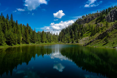 Scenic view of lake by trees against sky