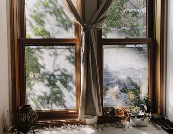 Trees seen through glass window