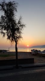 Silhouette tree on beach against sky during sunset