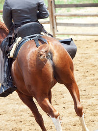 Low section of man riding horse