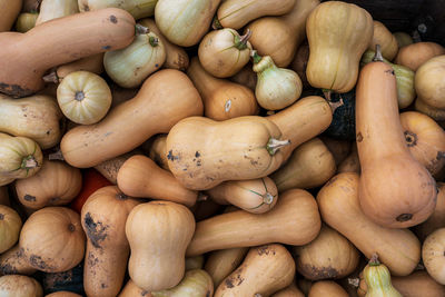 High angle view of pumpkins for sale at market stall