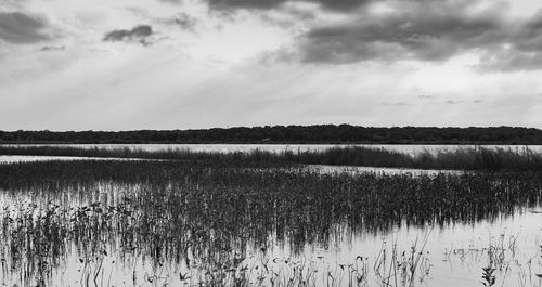 Scenic view of lake against sky