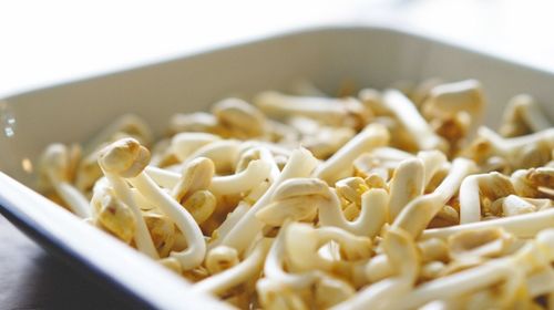 Close-up of pasta in plate