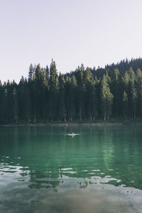 Swimming pool by trees against clear sky