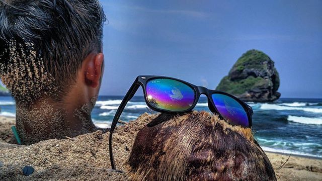 sea, beach, blue, water, sky, shore, horizon over water, one animal, animal themes, sand, close-up, nature, day, sunglasses, focus on foreground, sunlight, outdoors, beauty in nature, mammal, palm tree