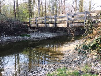 Scenic view of trees against sky