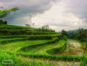 Scenic view of field against cloudy sky