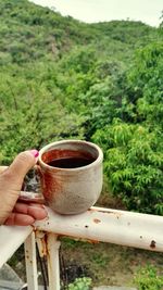 Person holding tea cup