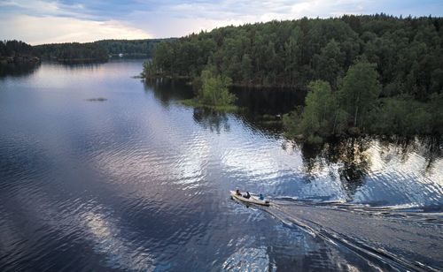 Scenic view of lake in forest