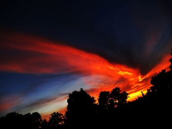 Silhouette of trees at sunset