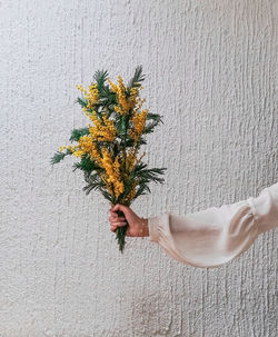 Midsection of woman holding flower bouquet