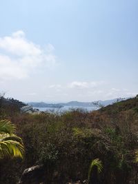 Scenic view of landscape against clear sky