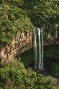 Caracol waterfall falling from rocky cliff in a canyon covered by forest near canela, brazil.