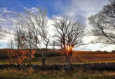 Scenic view of field against sky at sunset