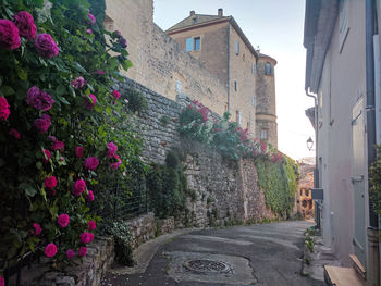 Street amidst houses and buildings