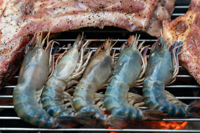 Close-up of fish on barbecue grill