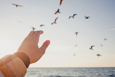 Woman's hand in sunlight close-up trying to reach out seagulls flying in the sky