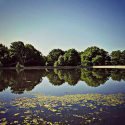 Reflection of trees in calm lake