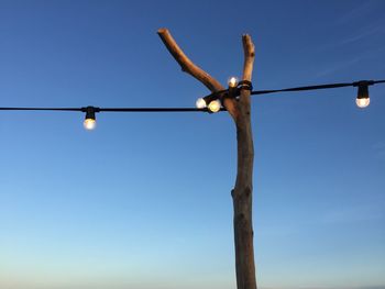 Low angle view of illuminated light bulbs hanging on bare tree against blue sky during sunset