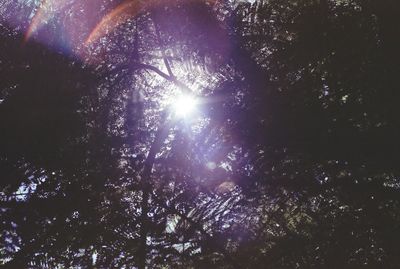 Low angle view of trees against sky