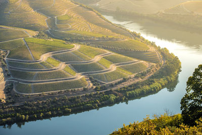 Scenic view of agricultural landscape and river