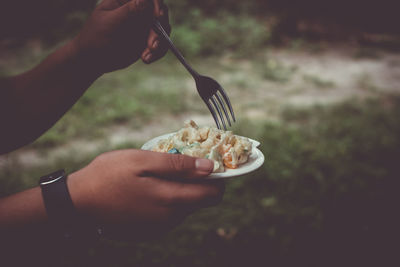 Close-up of hand holding salad on plate