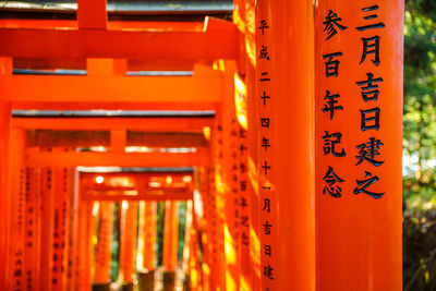 Close-up of illuminated text at temple