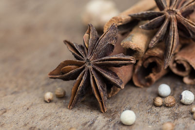 Close-up of dry leaf on table