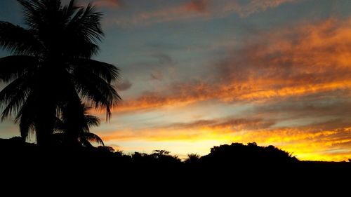 Low angle view of silhouette palm trees against sunset sky