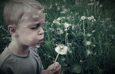 Boy holding dandelion on field