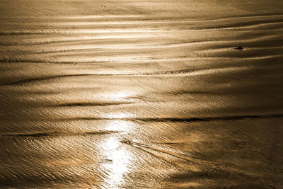 Full frame shot of wood
