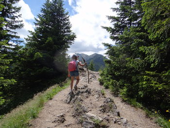 Full length rear view of girl hiking on mountain amidst trees