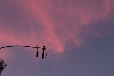 Low angle view of silhouette street light against sky during sunset