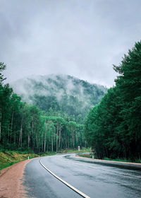 Road amidst trees against sky