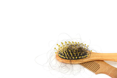 Close-up of hand holding plant against white background