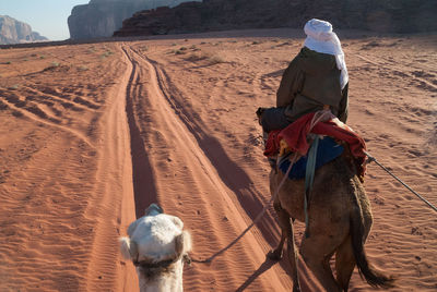 Rear view of man sitting on camel at desert