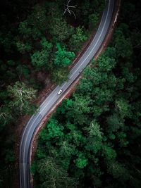 High angle view of road amidst trees in forest