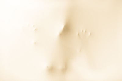 Full frame shot of ice cream