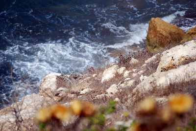 High angle view of rocks on beach