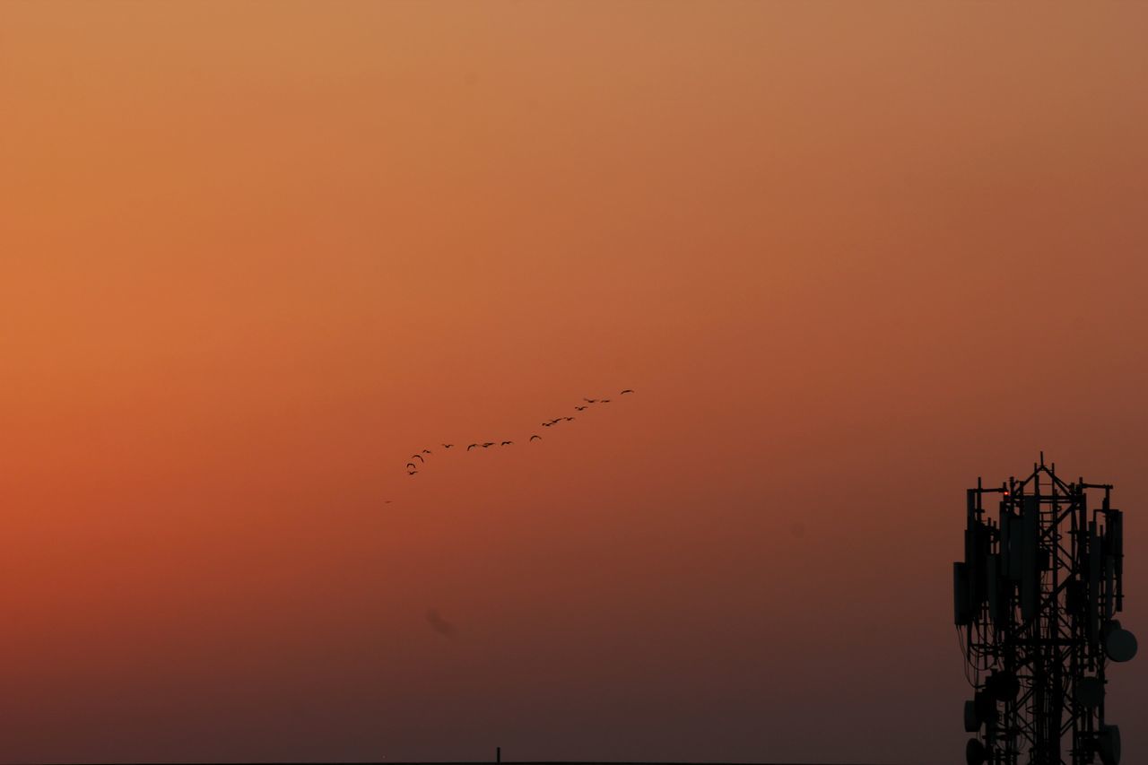 Birds formation