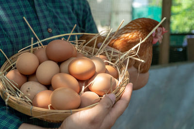 Close-up of hand holding eggs in basket