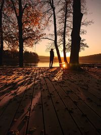 Silhouette person by tree against sky during sunset