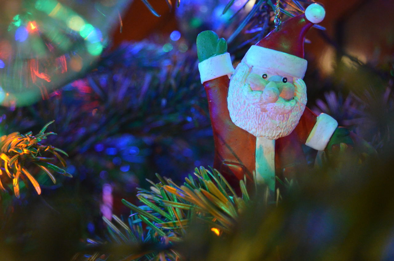 CLOSE-UP OF CHRISTMAS DECORATION ON TREE