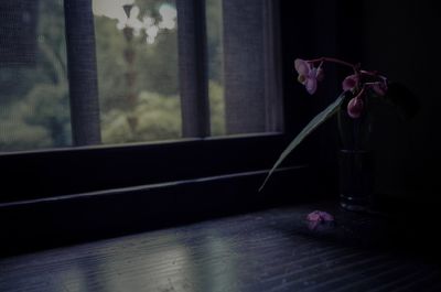 Close-up of pink flower vase on table