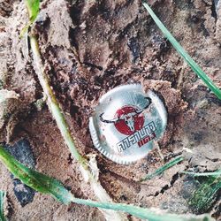 High angle view of heart shape on rock