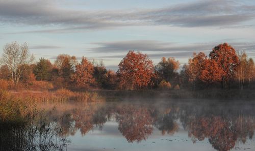 reflection